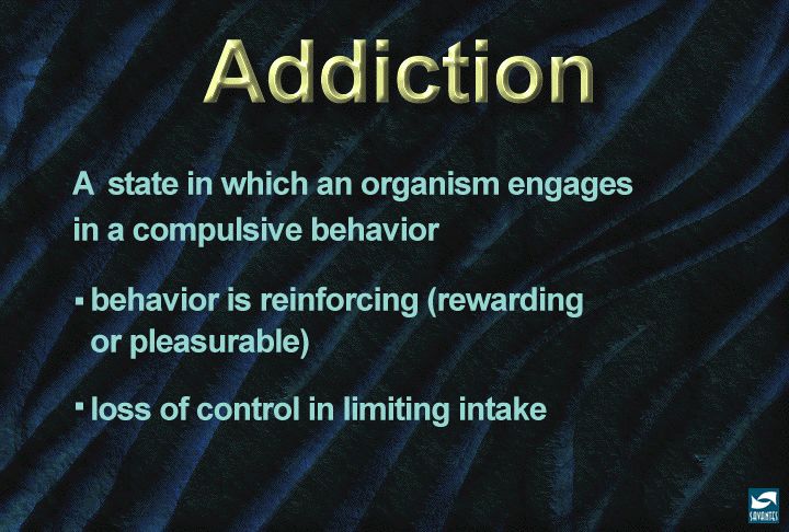 Are You Addicted to Your Cell Phone?