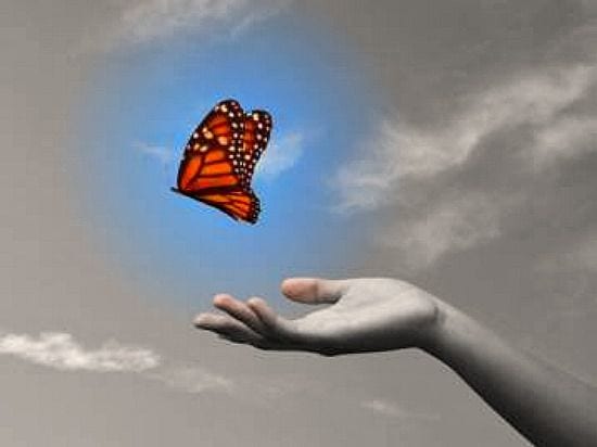 BLOG-LET GO BUTTERFLY